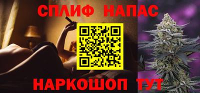 гашик Будённовск