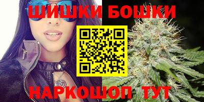 гашик Будённовск